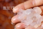 木瓜雪蛤